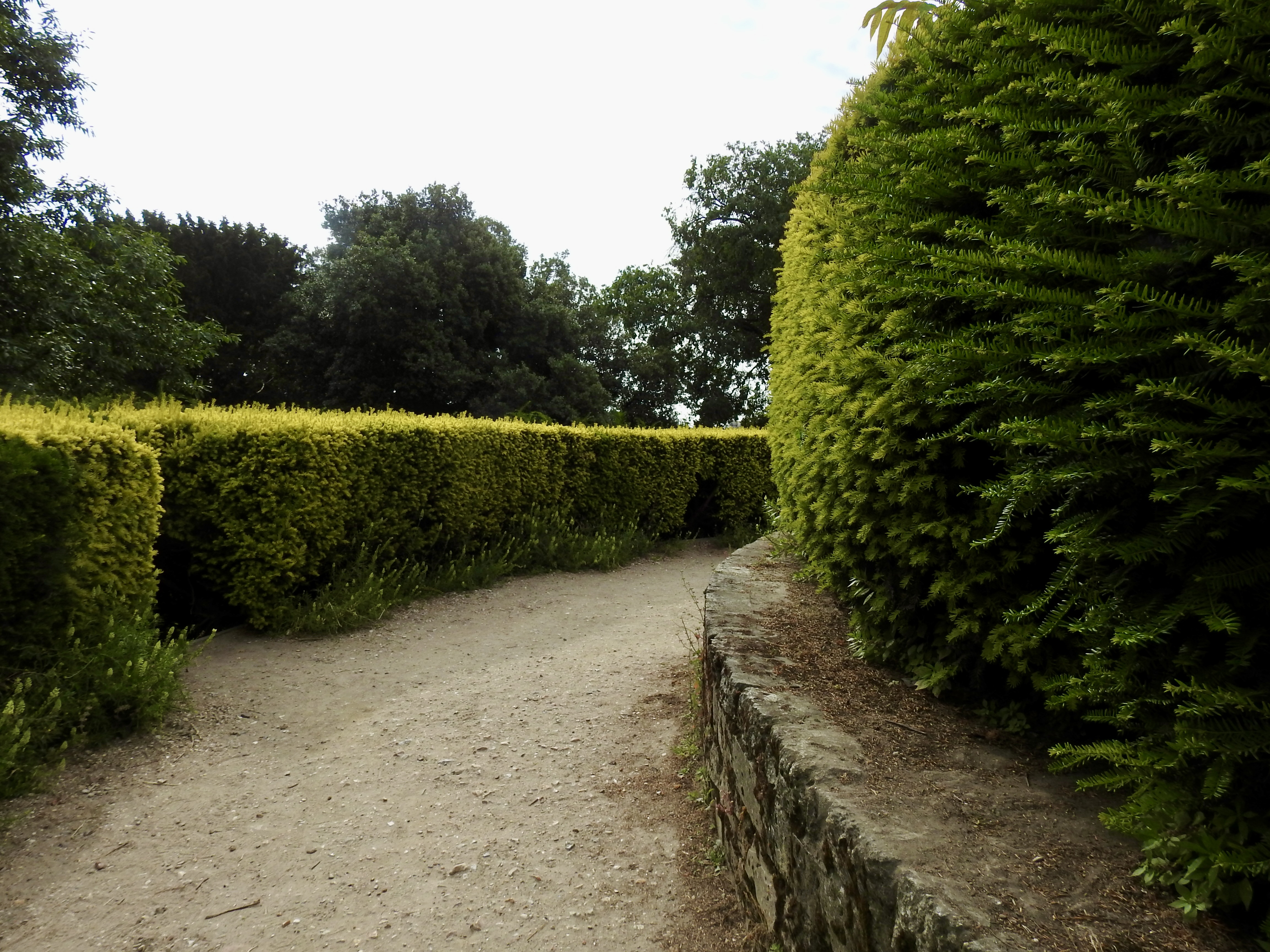 MAKING MY PEACE … with the labyrinth of contemplation