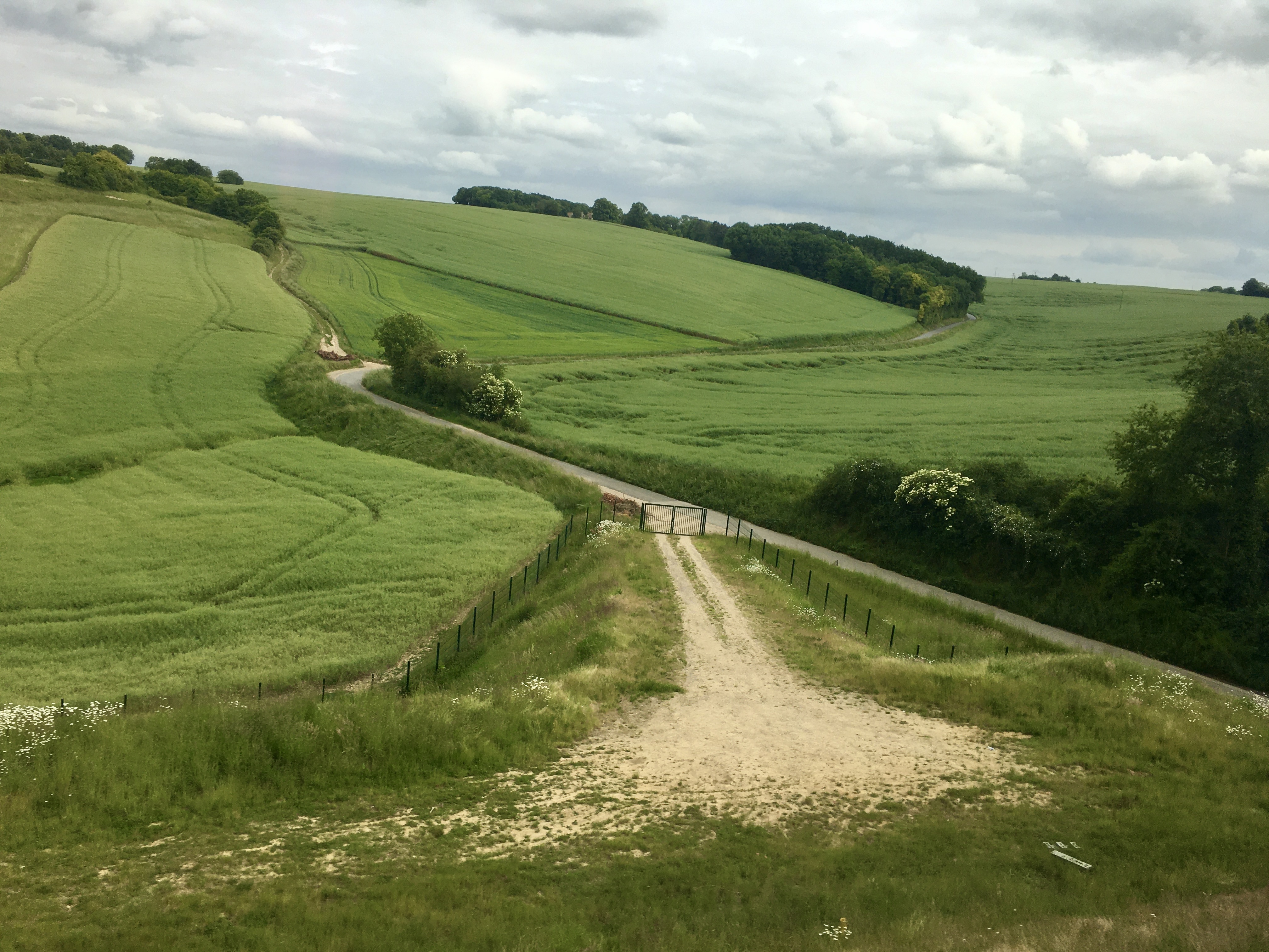 MAKING MY PEACE … with beating burnout