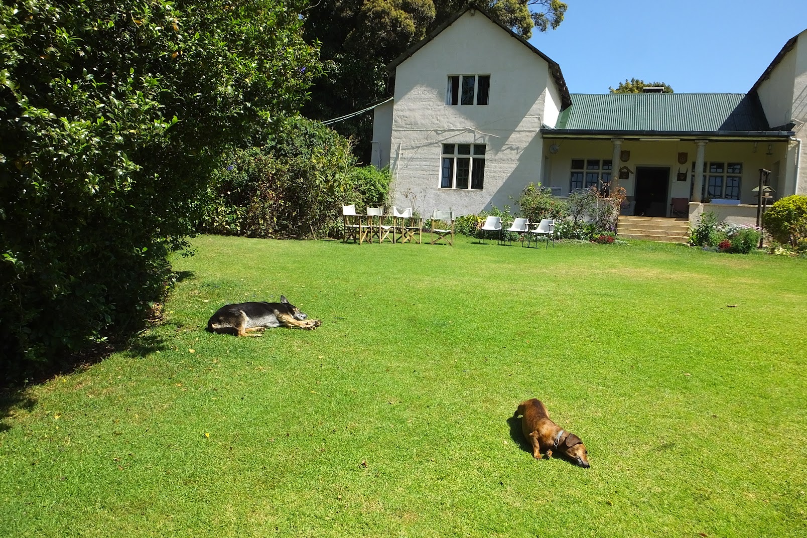 MAKING MY PEACE … with serenity now