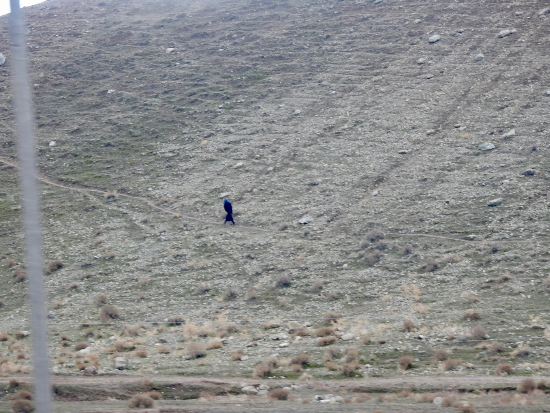 MAKING MY PEACE … with gaining ground in 2026